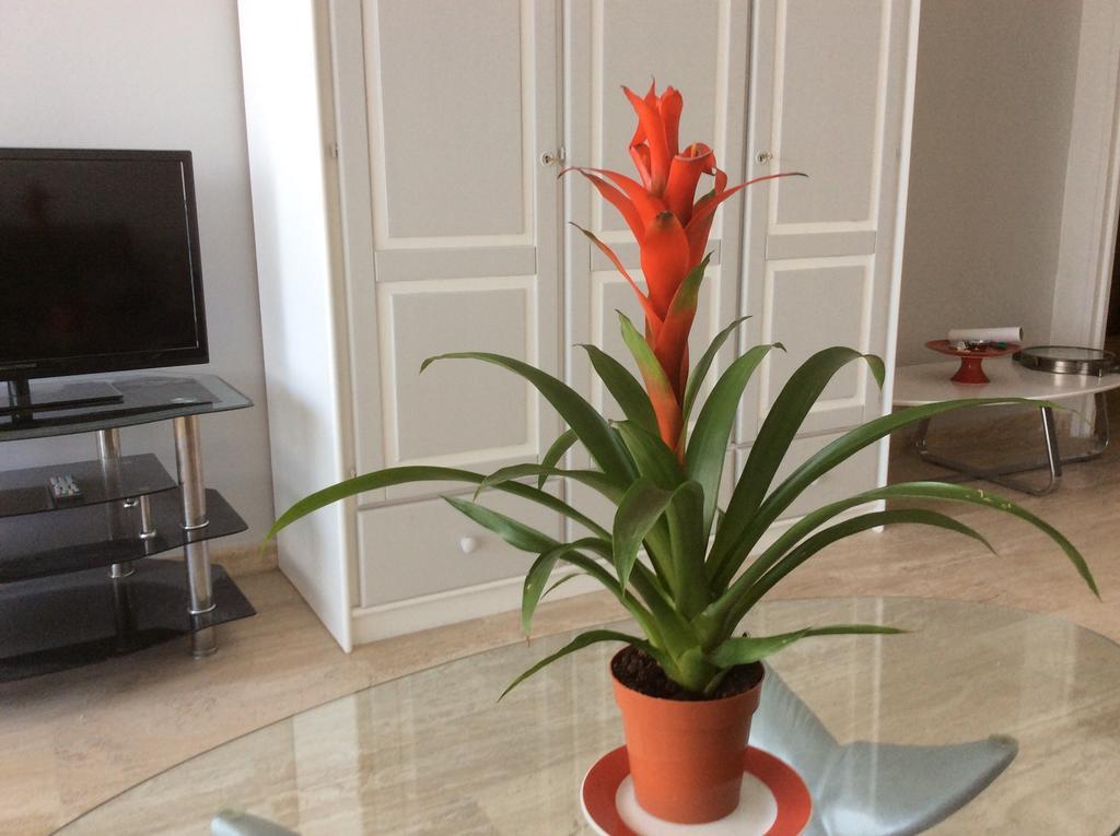 Appartement Dolce Vita Cagnes-sur-Mer Rom bilde